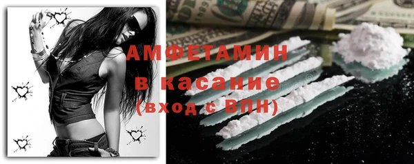 амф Бородино