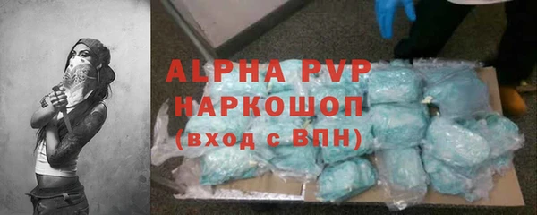 амф Бородино