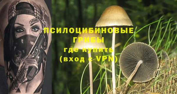 spice Бронницы