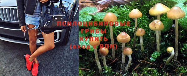 альфа пвп Бугульма