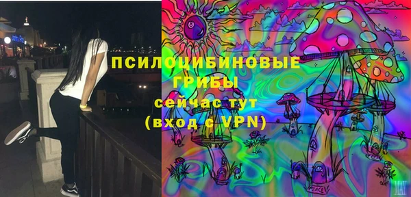 spice Бронницы