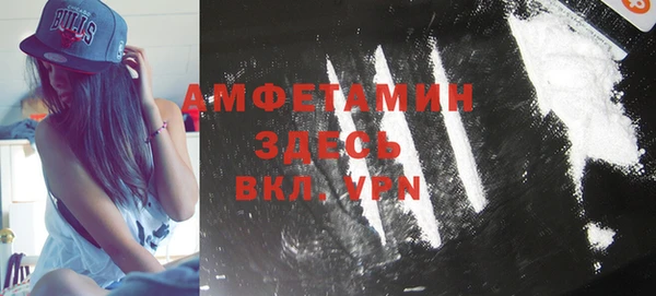 амф Бородино