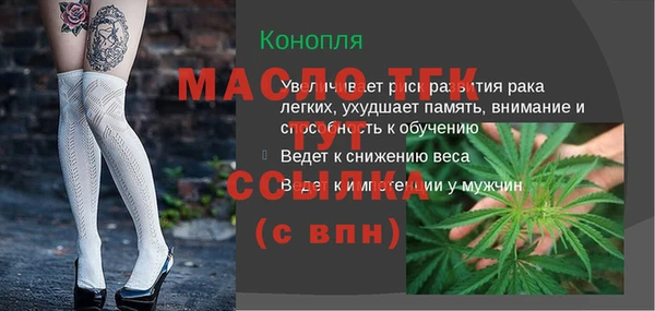 амф Бородино