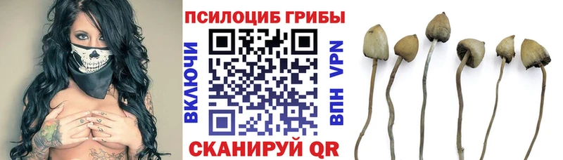 Псилоцибиновые грибы мицелий  KRAKEN рабочий сайт  Каменск-Уральский 
